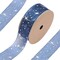 40 Yards Blue Wrapping Ribbon Sheer Transparent Ribbons Silver Star Organza Stamping Chiffon Silk Print Ribbon Trim for Sewing Making Craft Gift Wrapping DIY Christmas Dress Decor Supplies